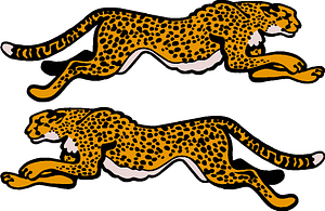Grumman-cheetah-decal