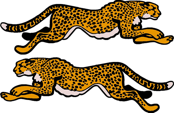 Grumman-cheetah-decal